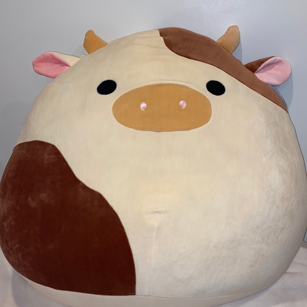 24” Ronnie the cow squishmallow